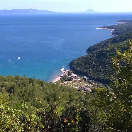 North Adriatic View Apartment Rabac Eksteriør bilde